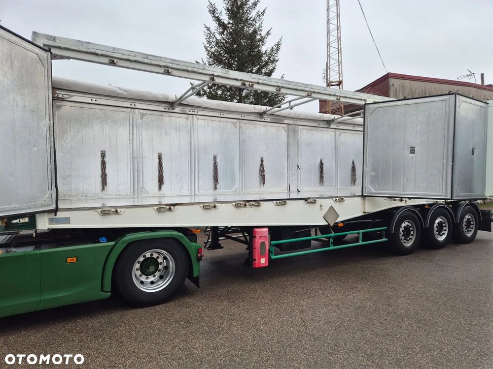 Benalu Wywrotka - 25