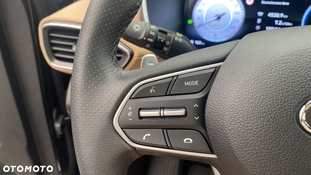Hyundai Santa Fe 1.6 T-GDI HEV Platinum 4WD - 22
