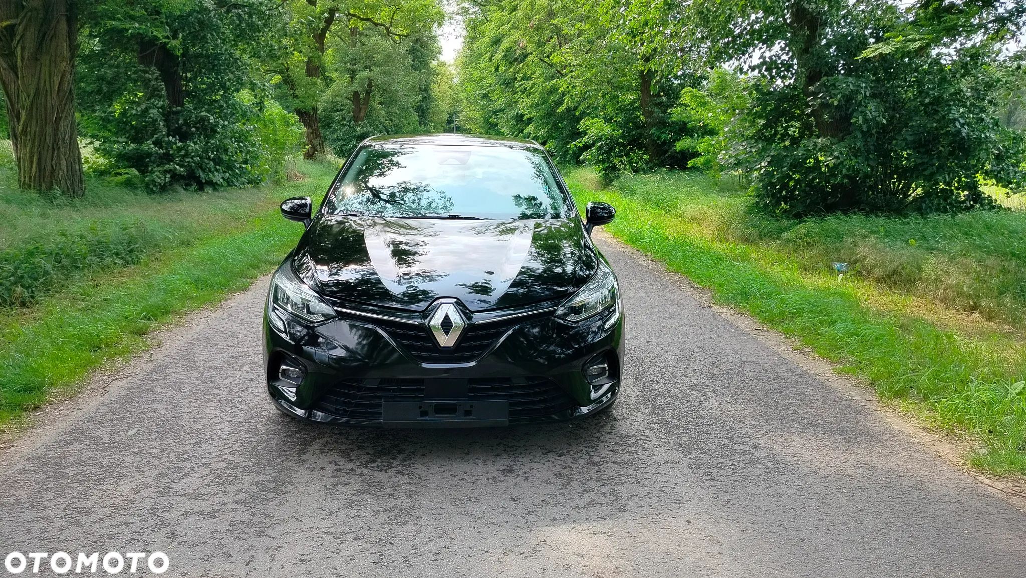 Renault Clio - 1