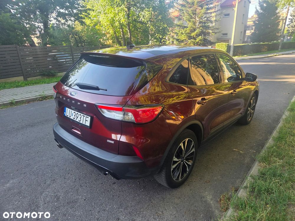 Ford Escape - 6