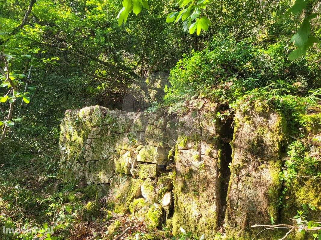 Terreno  para venda - Grande imagem: 3/19