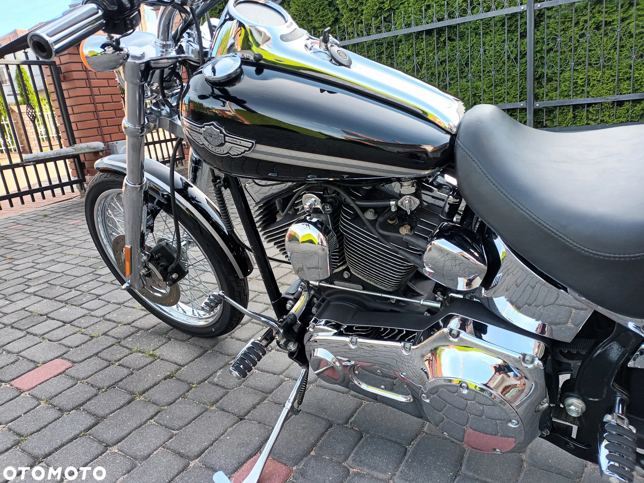 Harley-Davidson Softail - 7