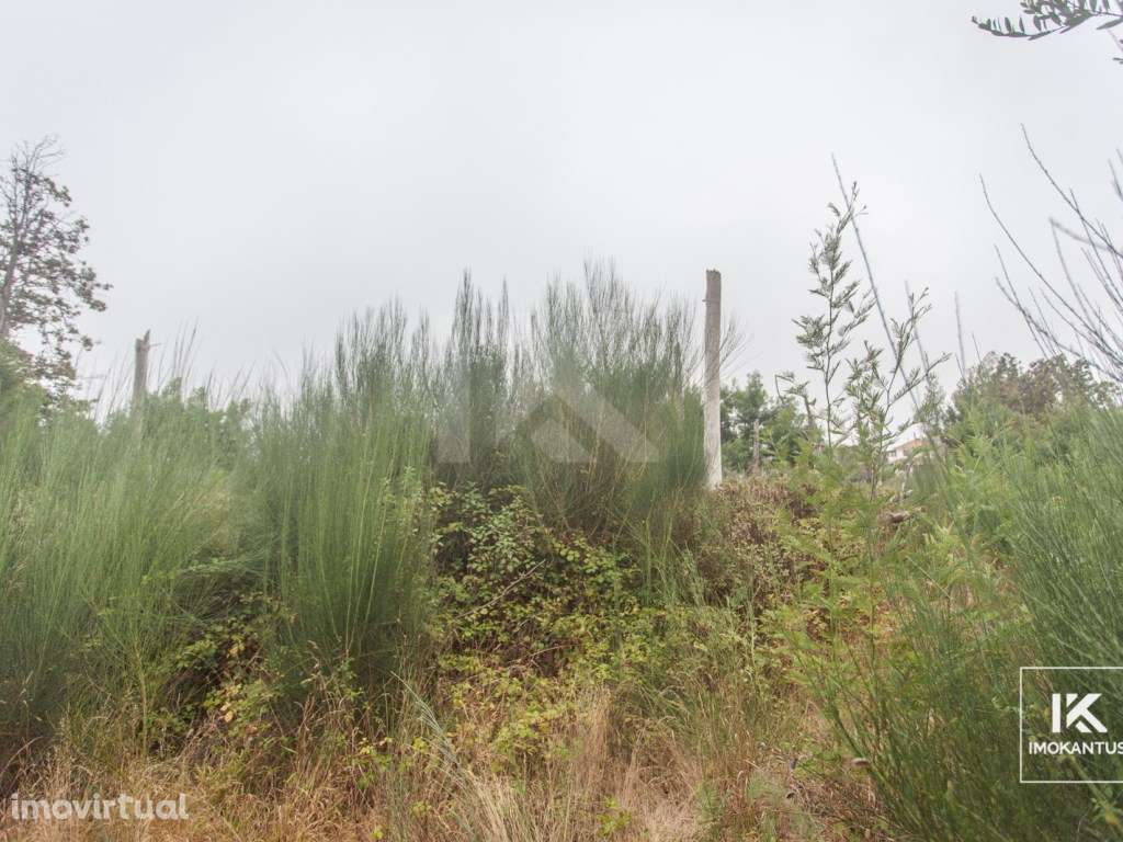 Terreno na Camacha - Grande imagem: 3/3