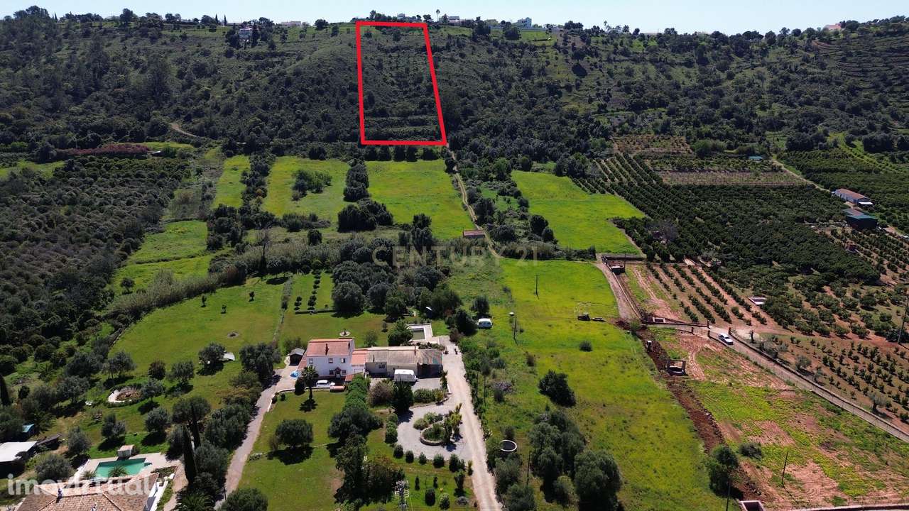 Terreno rústico em São Bartolomeu de Messines - Grande imagem: 3/4