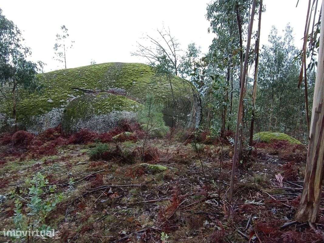 Terreno  para venda - Grande imagem: 2/13