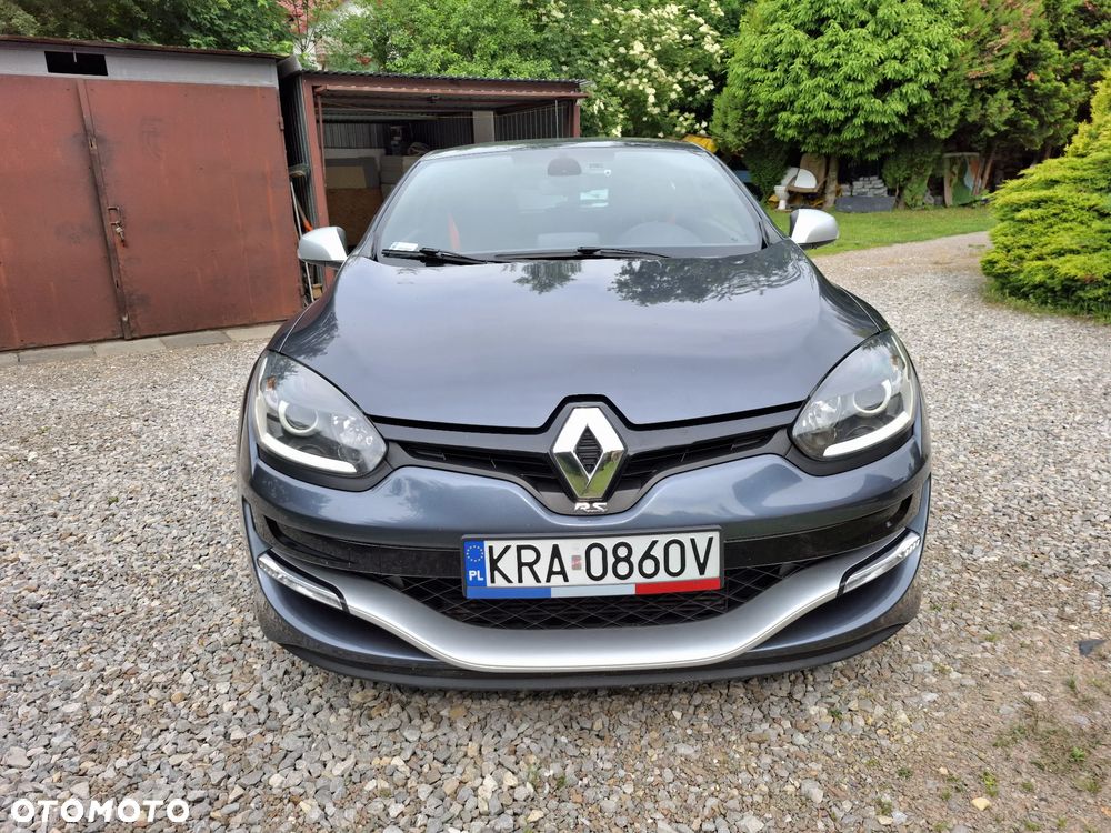 Renault Megane R.S EU6 - 7