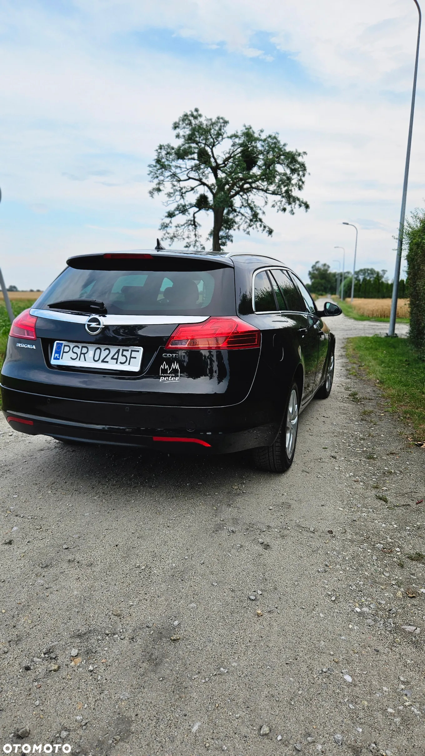Opel Insignia 2.0 CDTI Cosmo ecoFLEX - 11