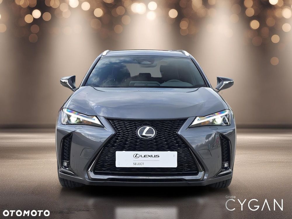 Lexus UX 300h F Sport - 10