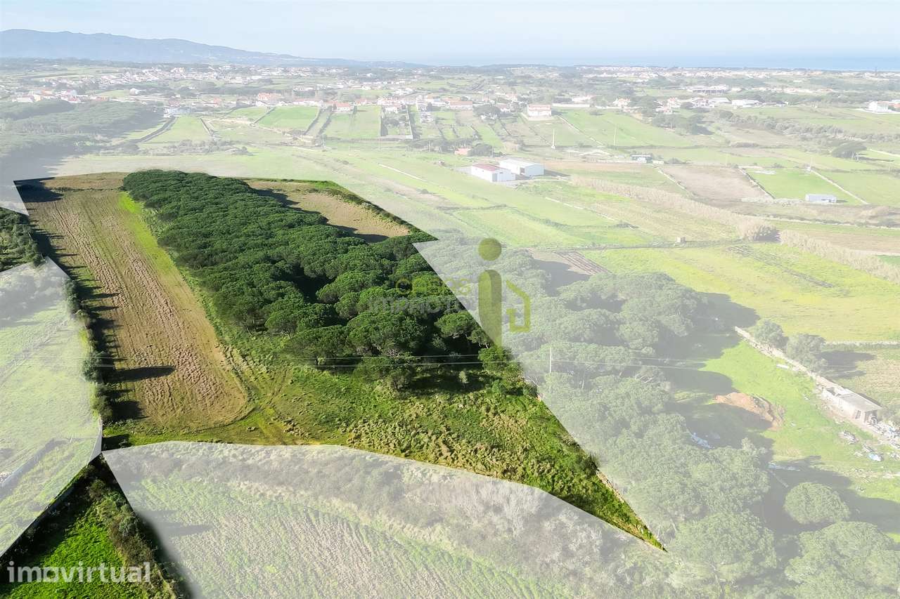 Terreno Rústico com 6 Hectares | São João das Lampas e Terrugem – Sint - Grande imagem: 5/9