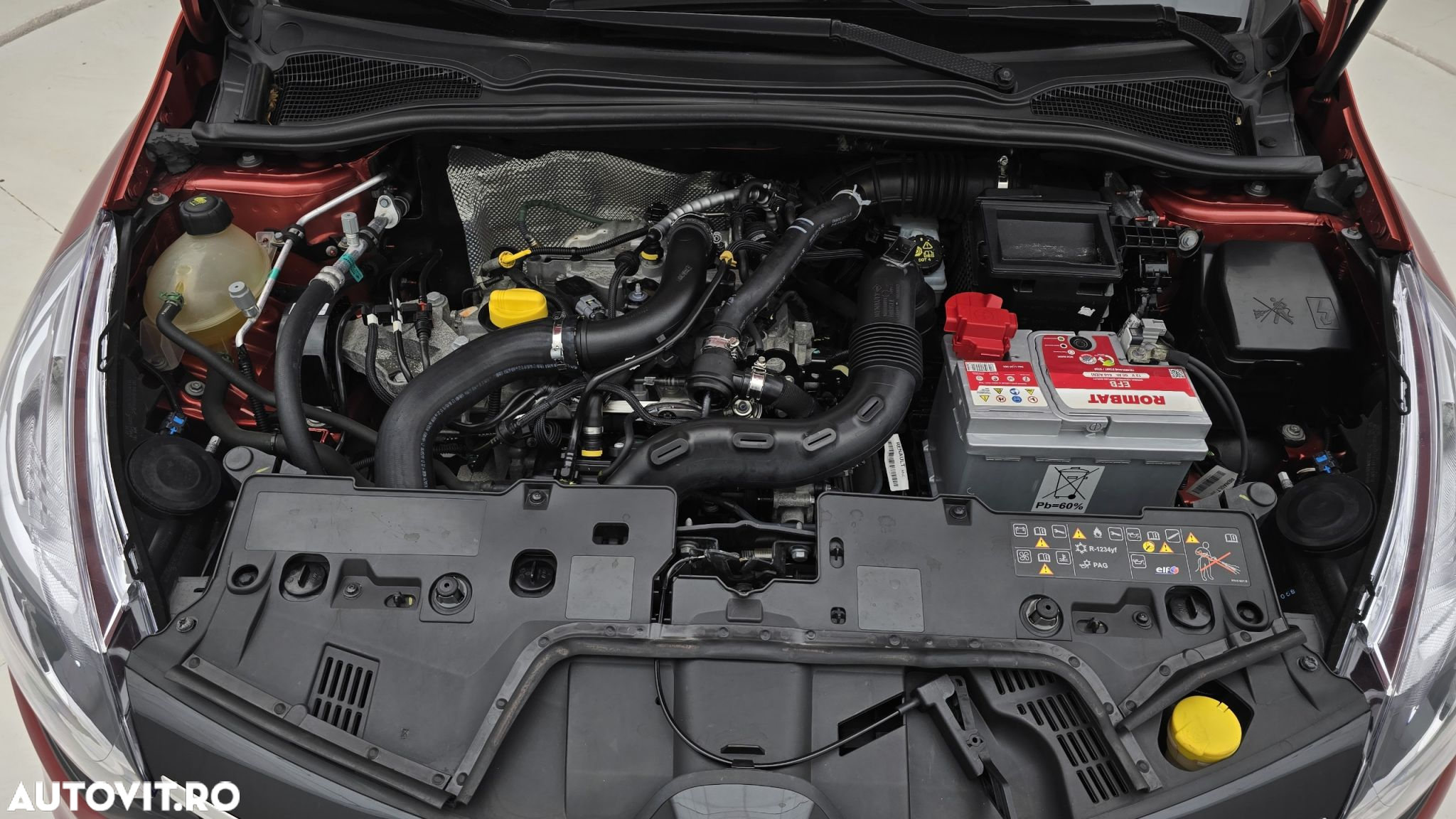 Renault Clio - 24
