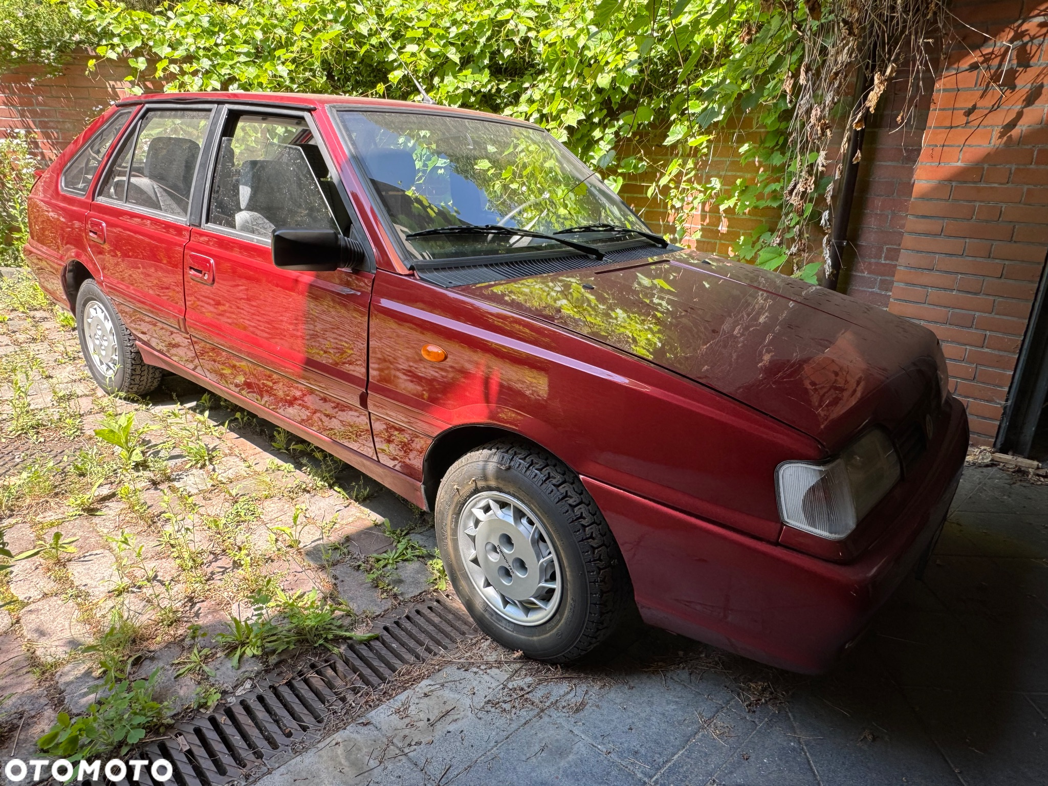 Polonez Caro - 6