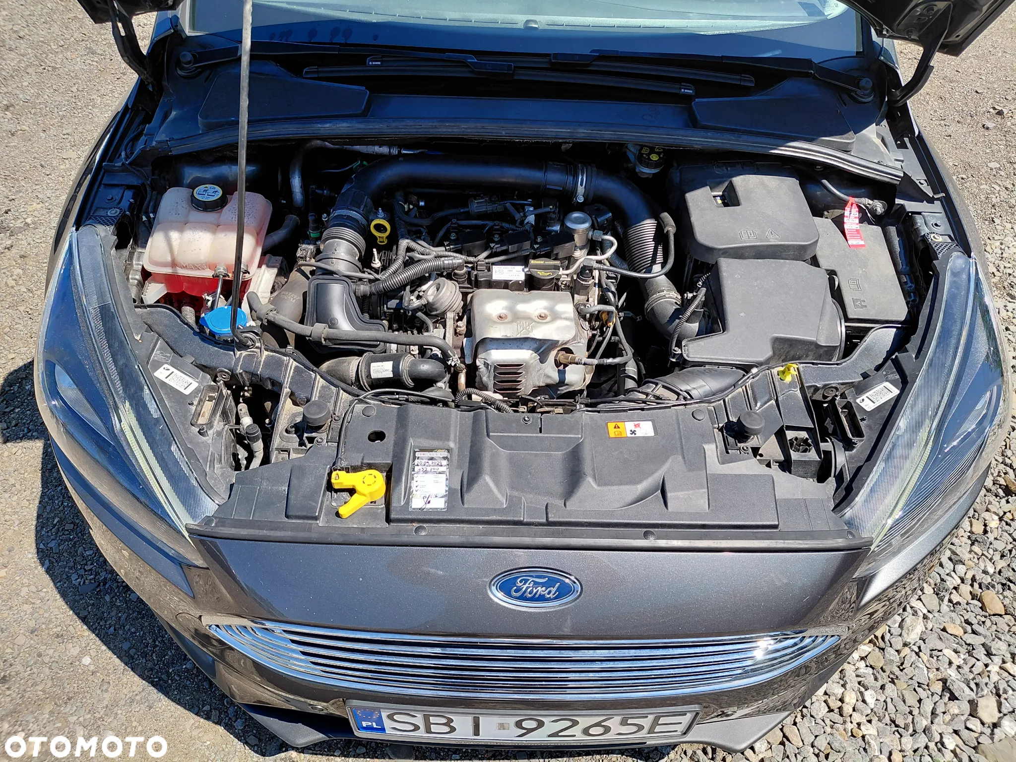 Ford Focus - 27