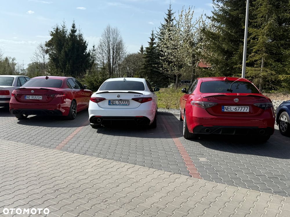 Alfa Romeo Stelvio 2.0 Turbo 16V AT8-Q4 Ti - 19