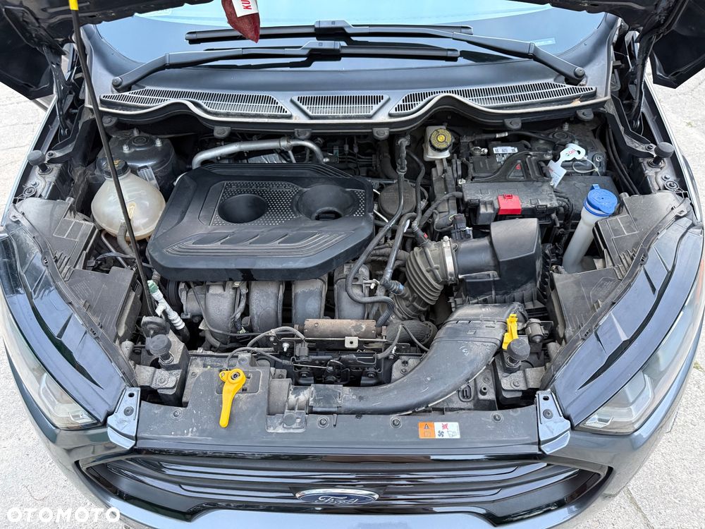 Ford EcoSport - 33