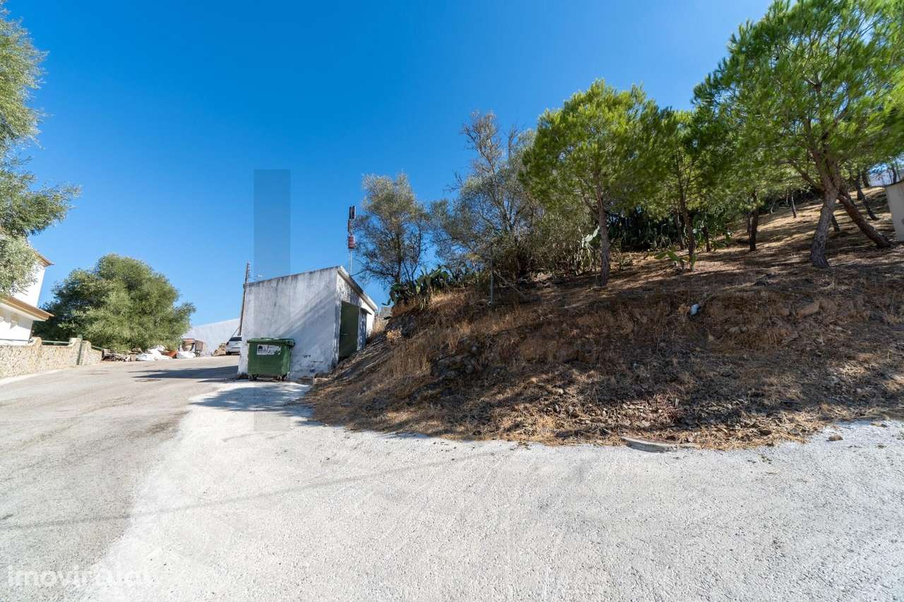 Terreno para construção junto ao Rio Guadiana na aldeia do Álamo, A - Grande imagem: 2/13