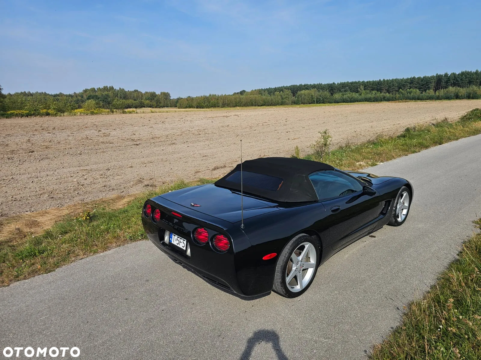 Chevrolet Corvette - 5