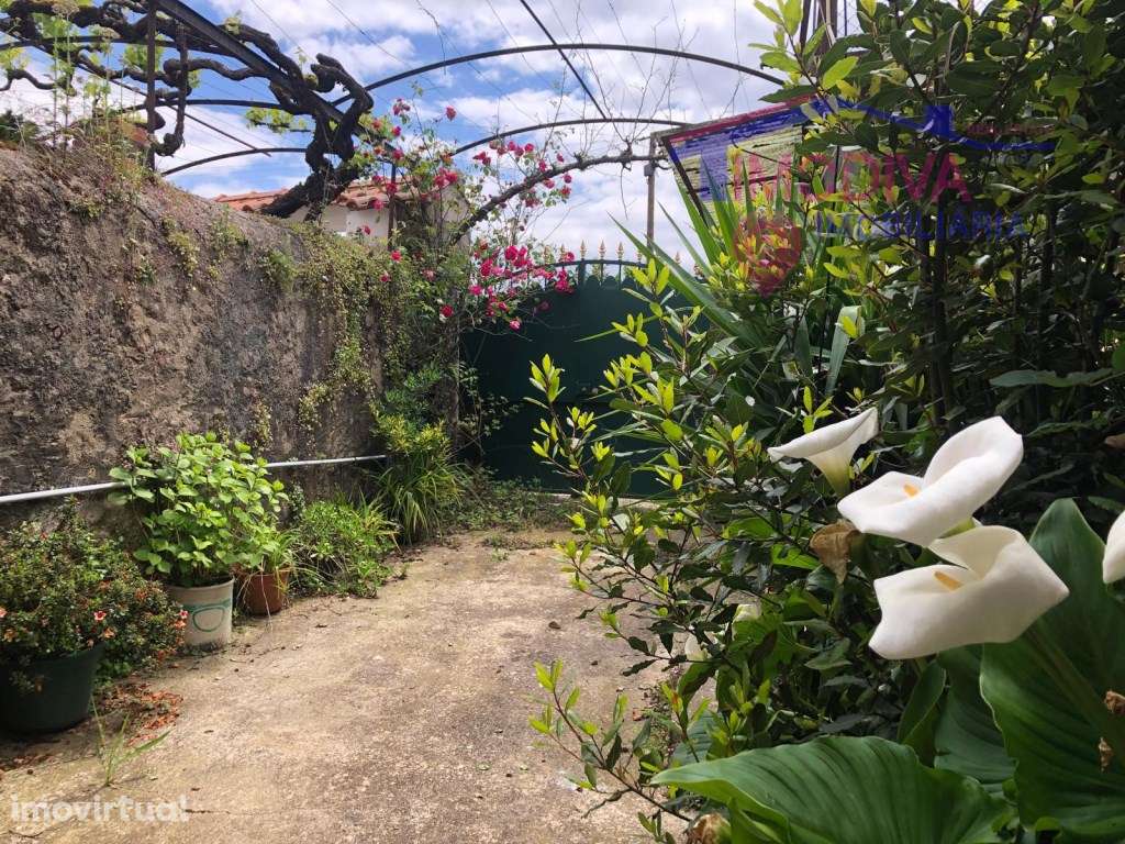 Casa de Campo com terreno em Vila Facaia - Grande imagem: 4/32