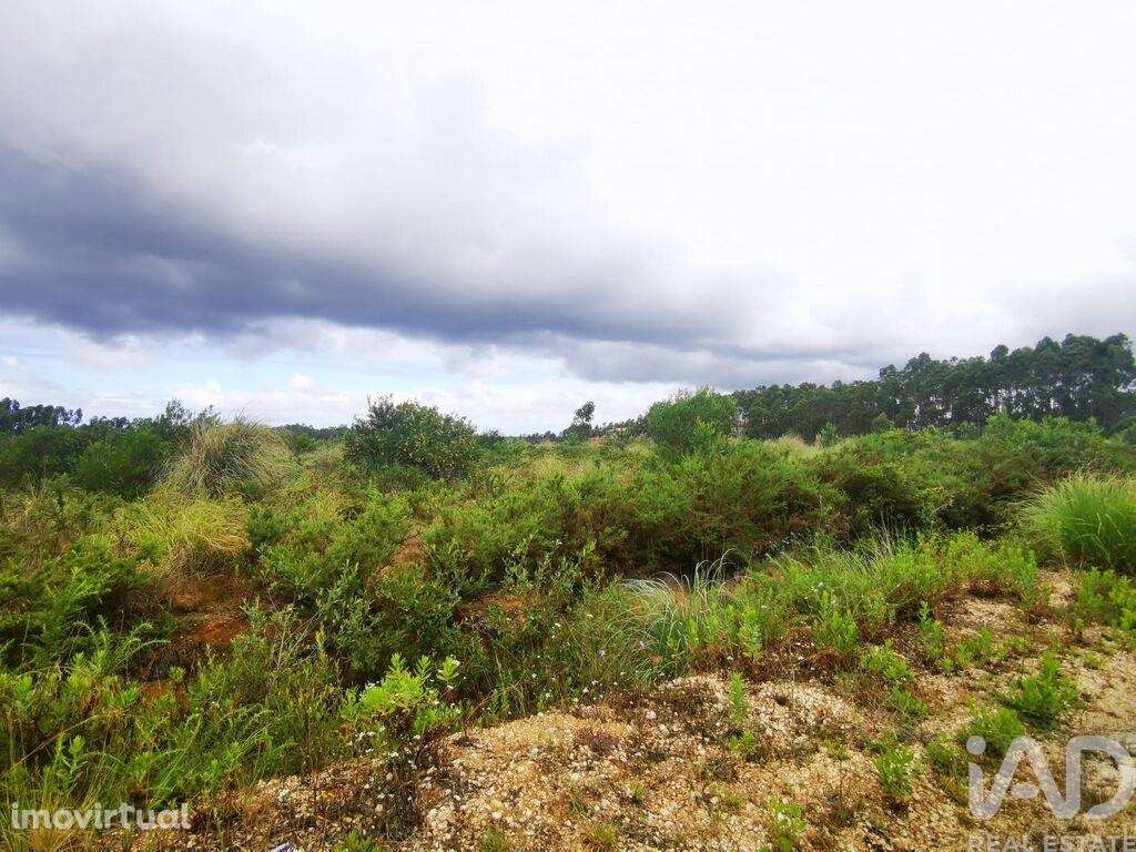 Terreno para construção em Marrazes e Barosa de 102000,00 m2 - Grande imagem: 5/27