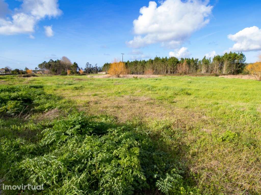 Terreno - Grande imagem: 3/5