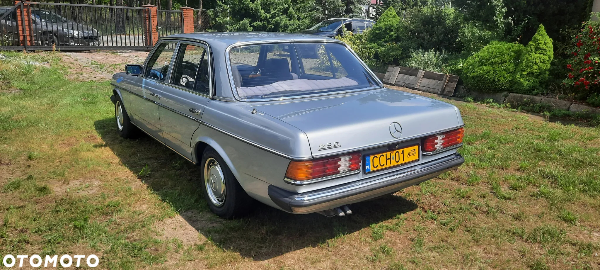 Mercedes-Benz W123 - 6