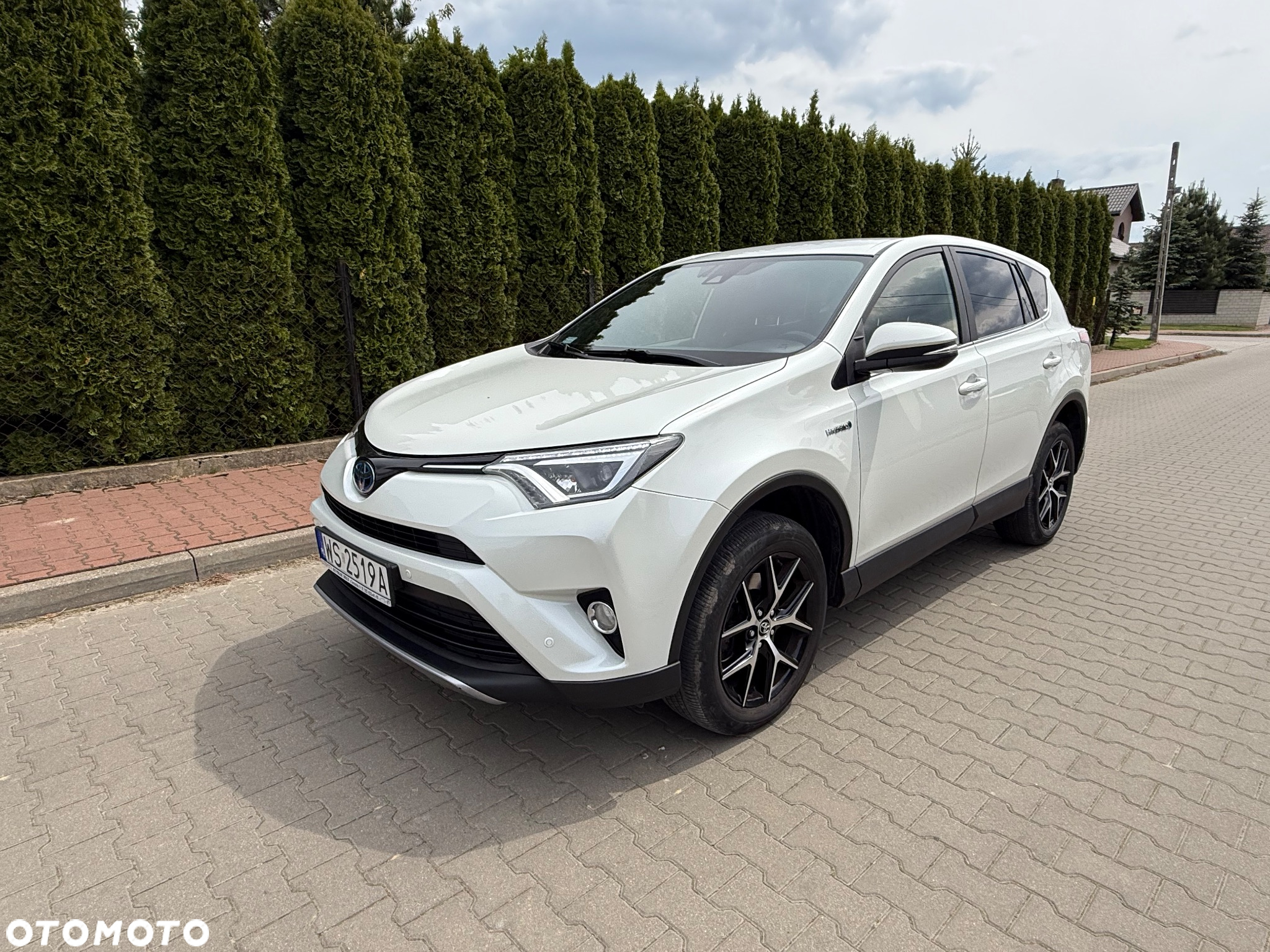 Toyota RAV4 Hybrid Premium 4x2 - 7