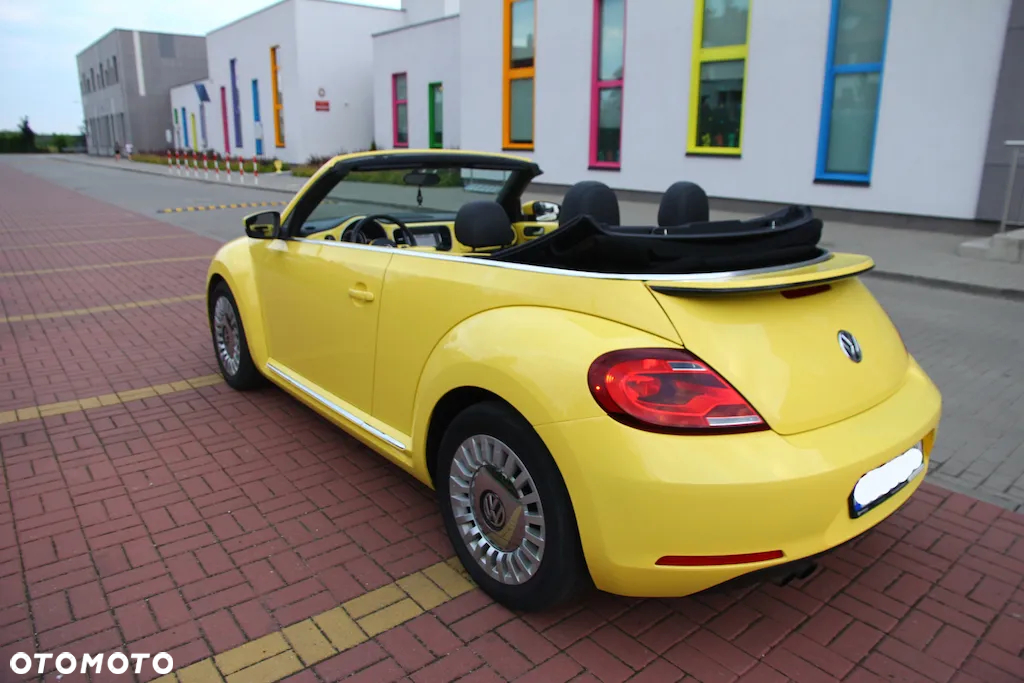 Volkswagen Beetle - 12