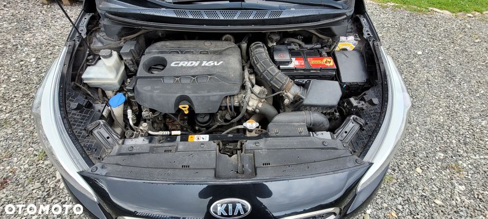 Kia Ceed 2014 photo 5