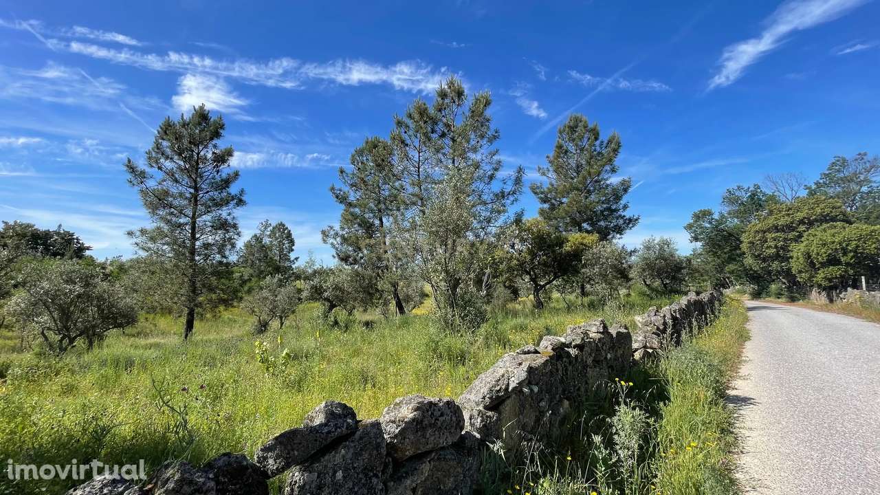 Terreno Rústico | Lousa CTB, Castelo Branco - Grande imagem: 2/8