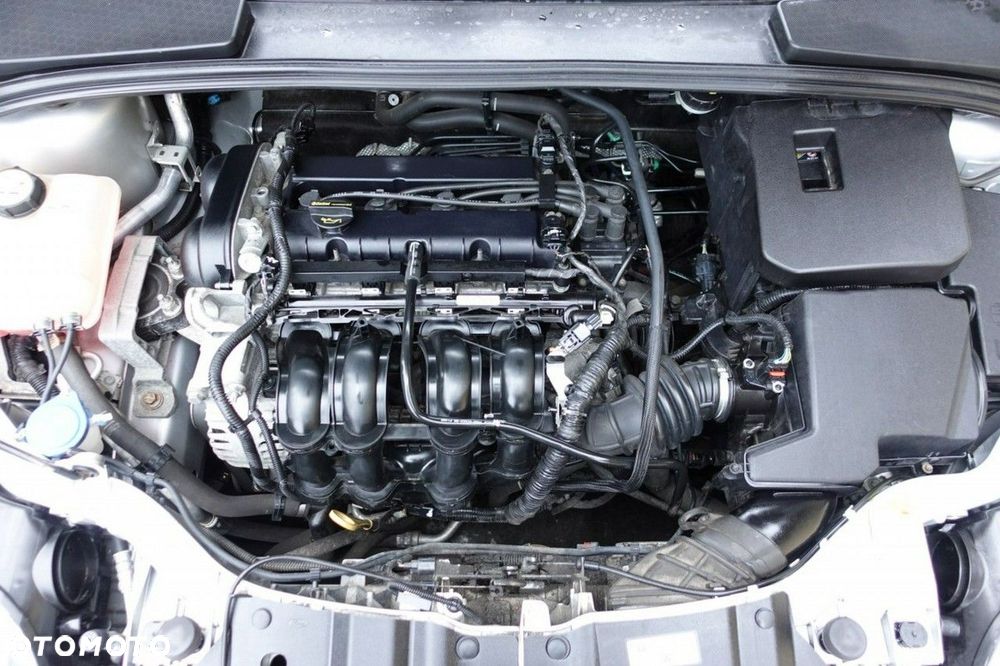 Ford Focus - 10