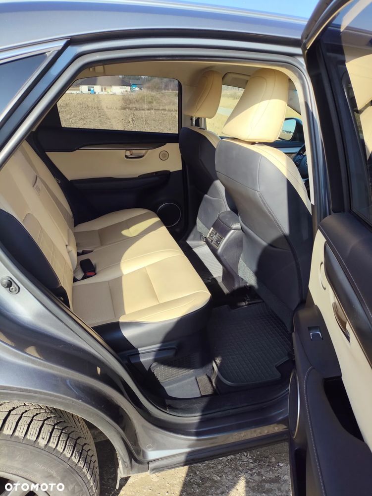 Lexus NX 300h Comfort AWD - 18