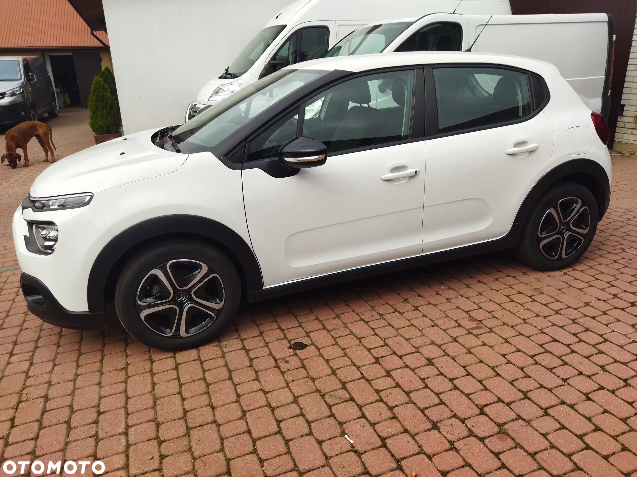 Citroën C3 Aircross - 14