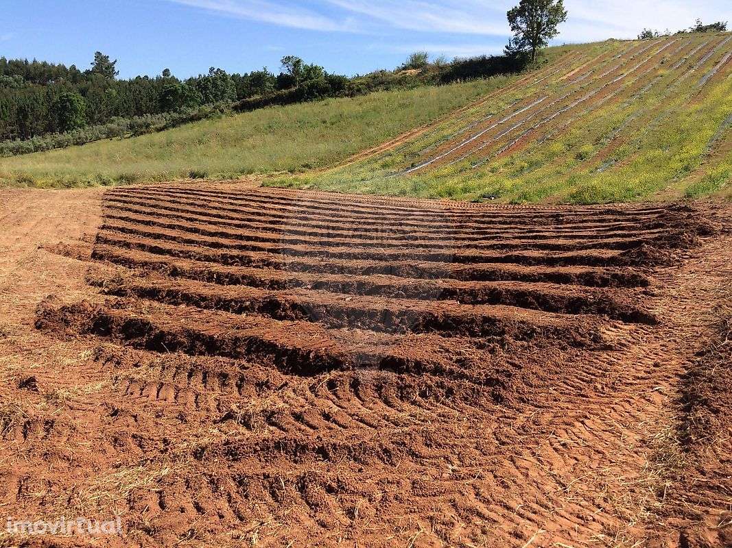 Terreno  para venda - Grande imagem: 5/5