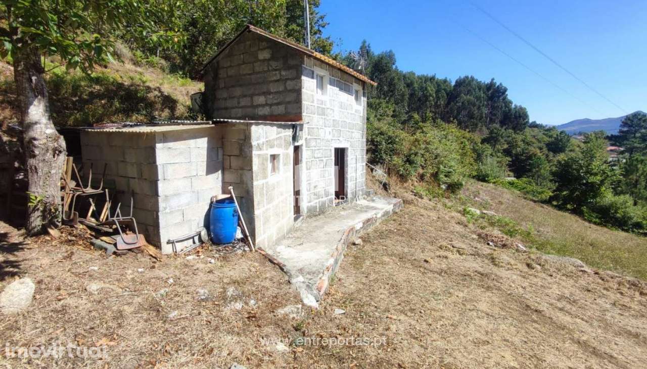 Venda Quinta com Moradia para reconstruir, Campelo, Baião - Grande imagem: 4/20