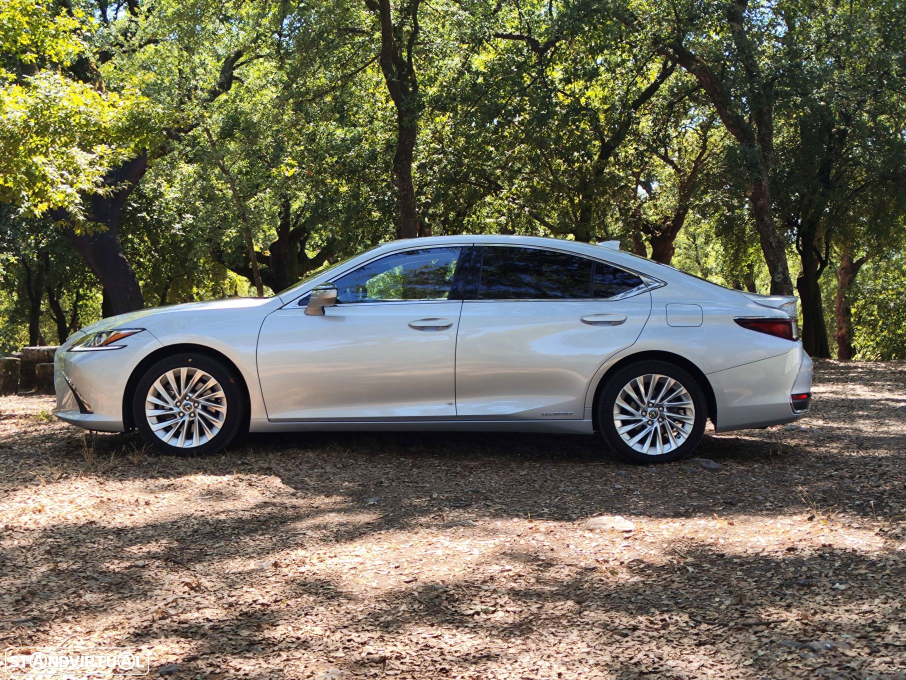 Lexus ES 300h Executive+ - 8