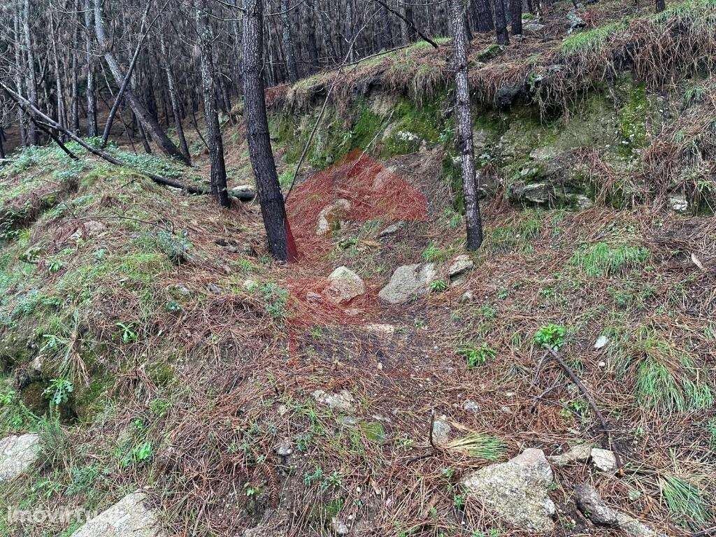 Terreno Agrícola em Caires, Amares - Grande imagem: 2/10