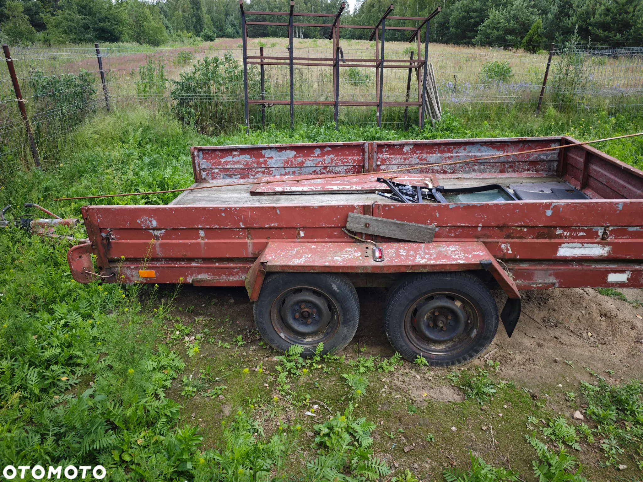 Syriusz L9077 - 6