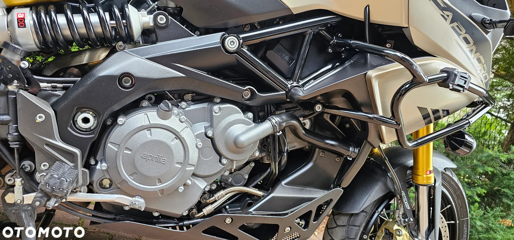 Aprilia Caponord - 6