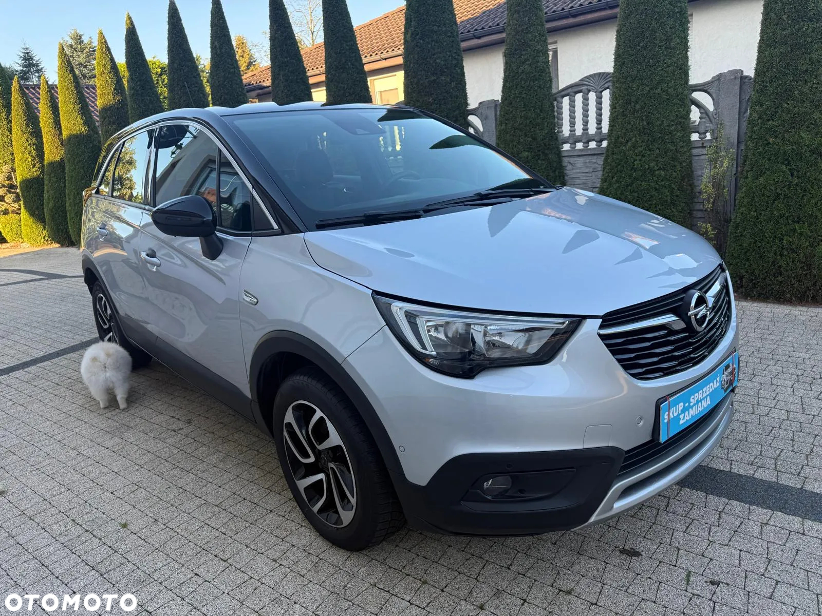 Opel Crossland X 1.2 Start/Stop 120 Jahre - 20