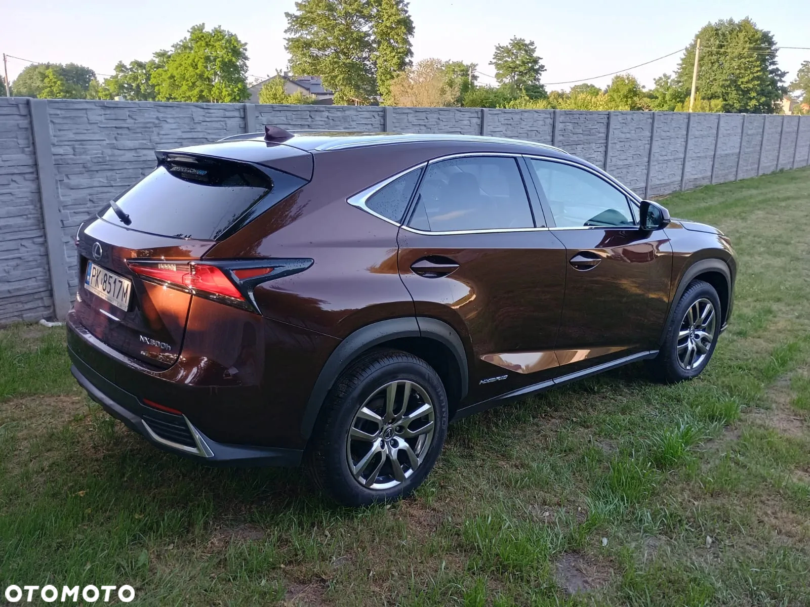 Lexus NX 300h Elegance AWD - 16