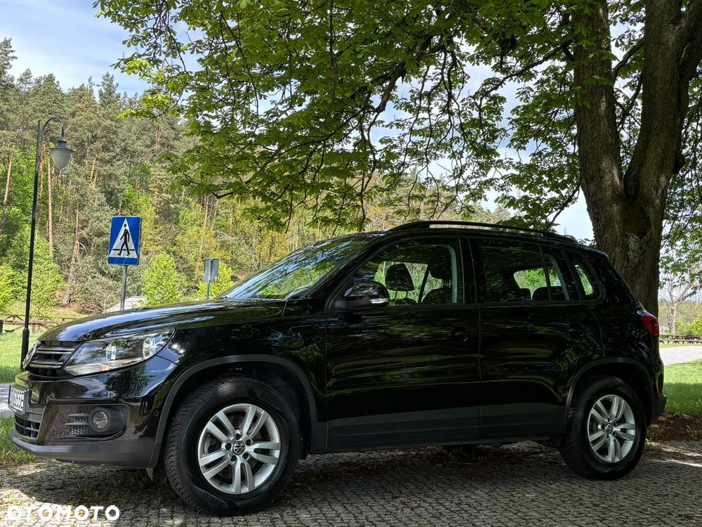 Volkswagen Tiguan - 1