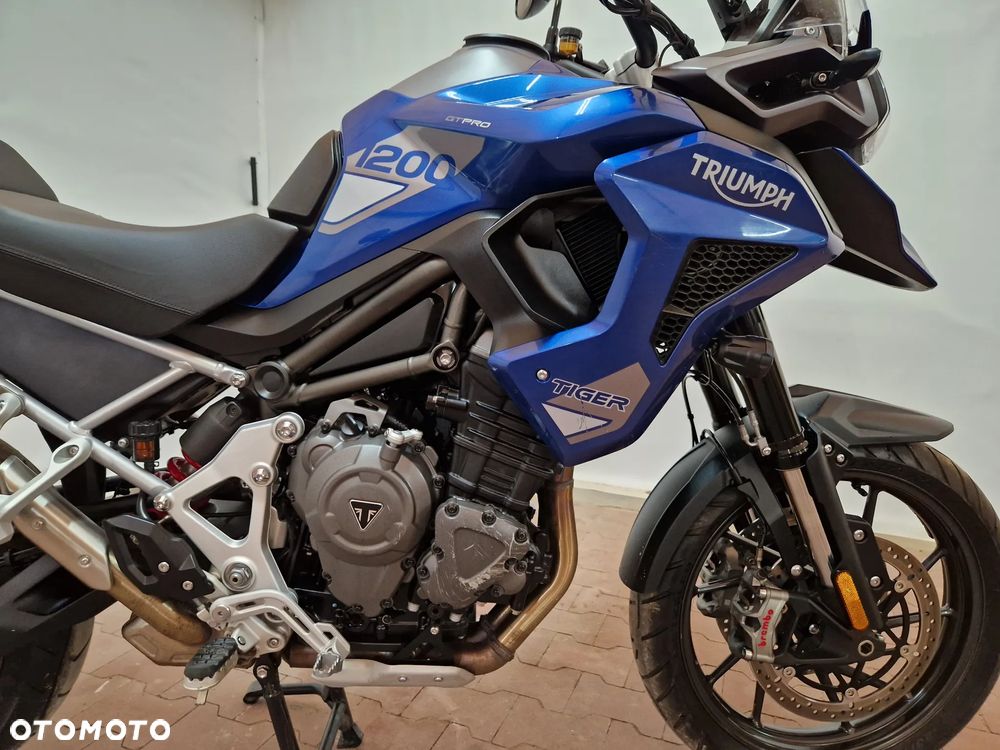 Triumph Tiger - 15