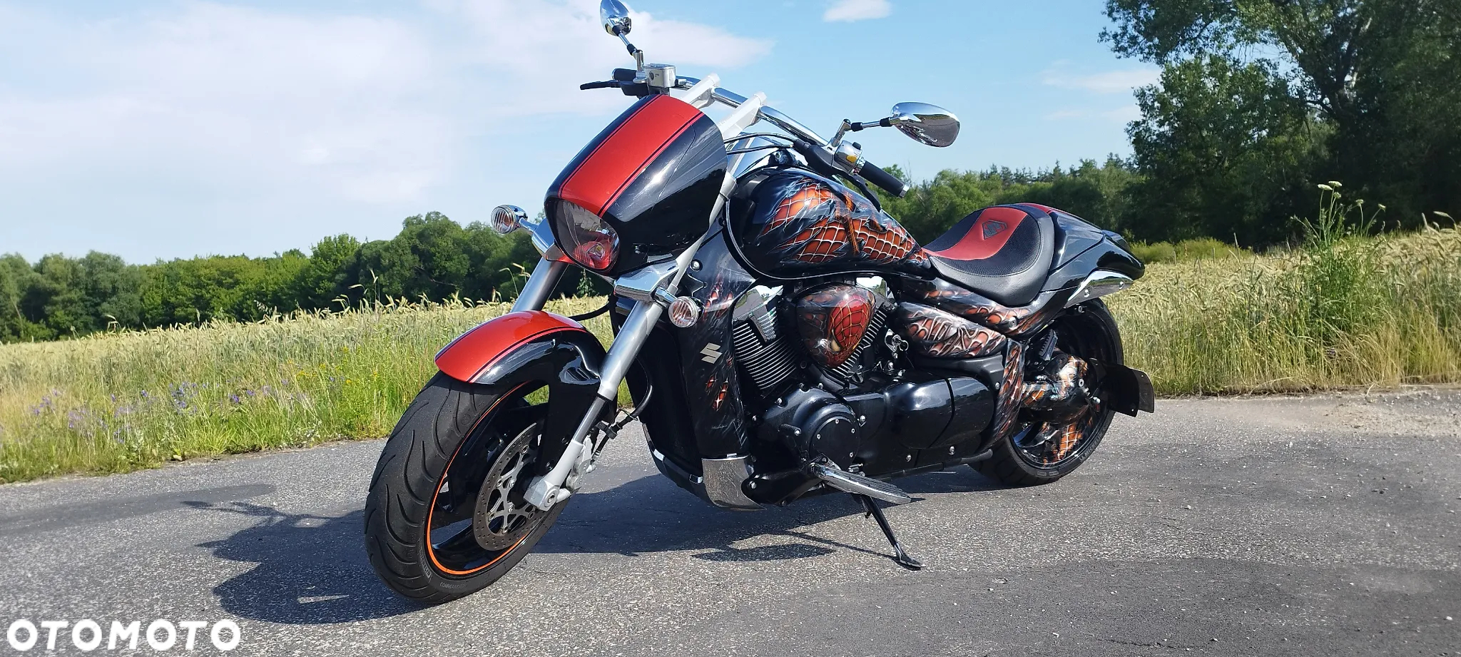 Suzuki Intruder - 19