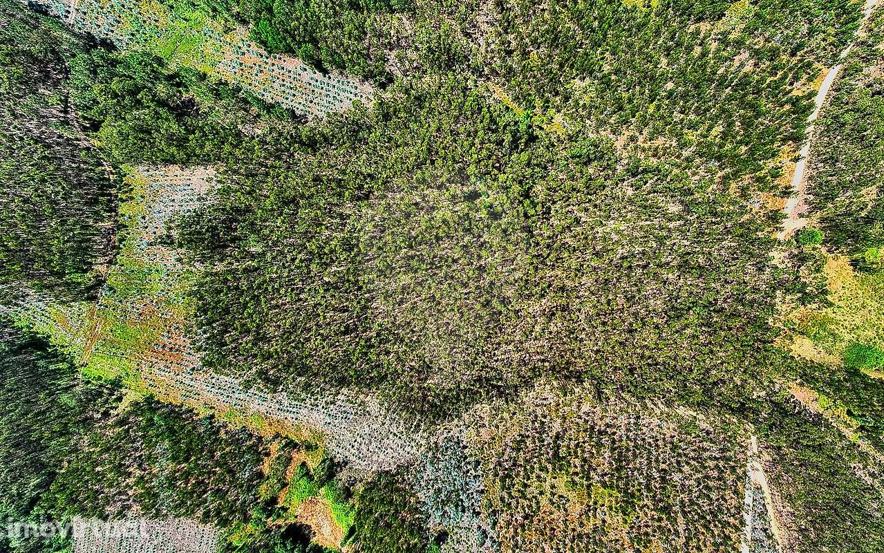 Terreno  para venda - Grande imagem: 2/9