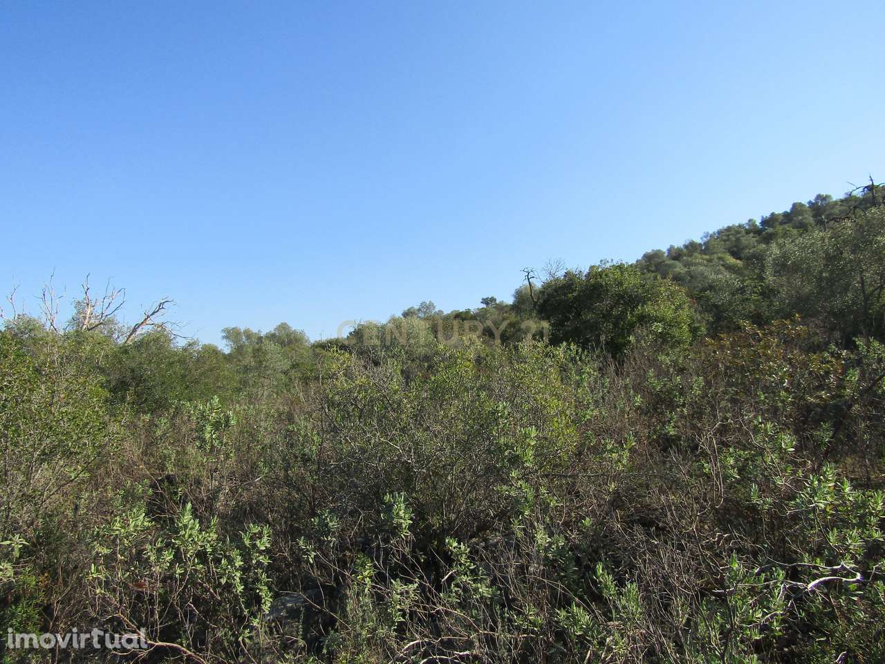 Terreno Rústico - Grande imagem: 5/8