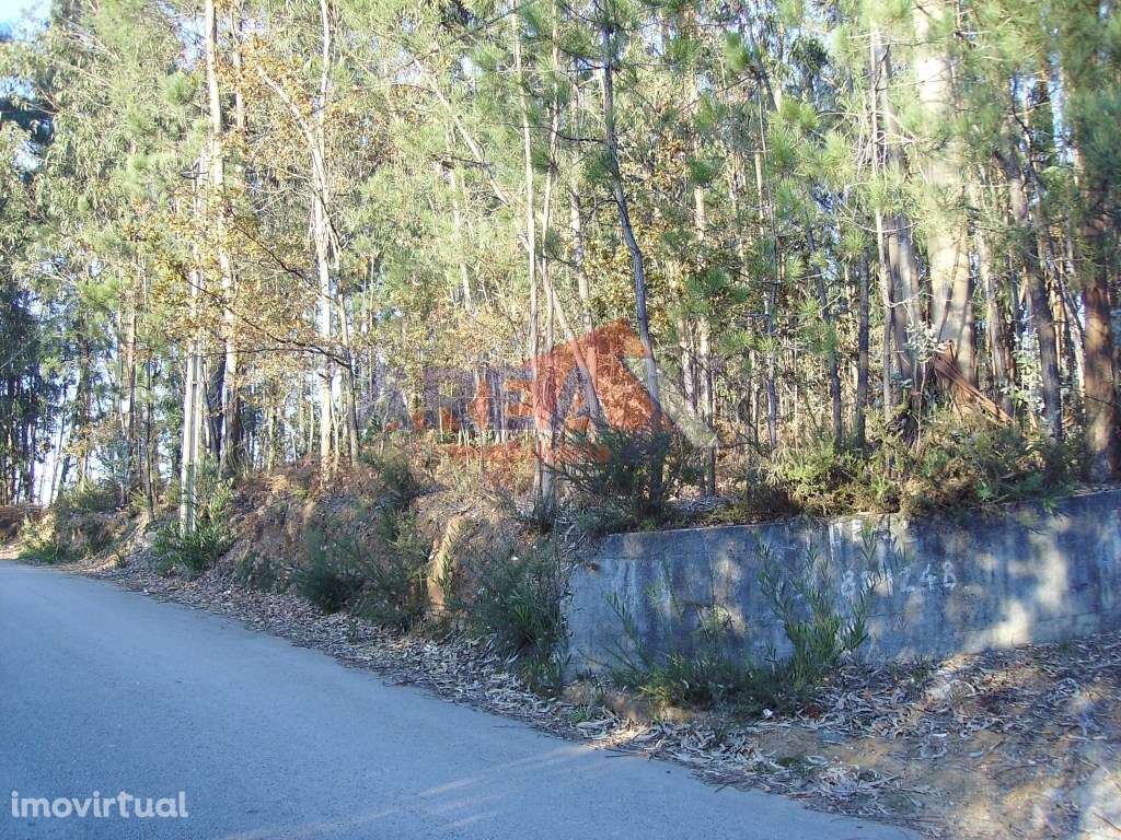 Terreno para construção de pavilhão/armazém industrial. 75m de frente. - Grande imagem: 2/4