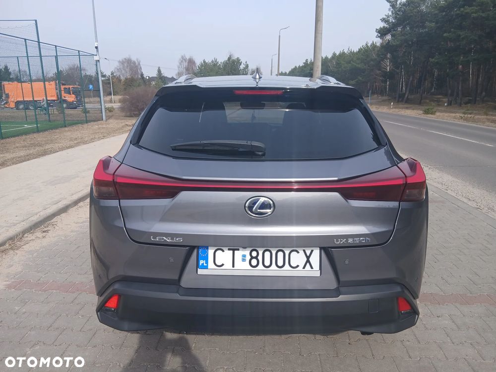 Lexus UX - 6