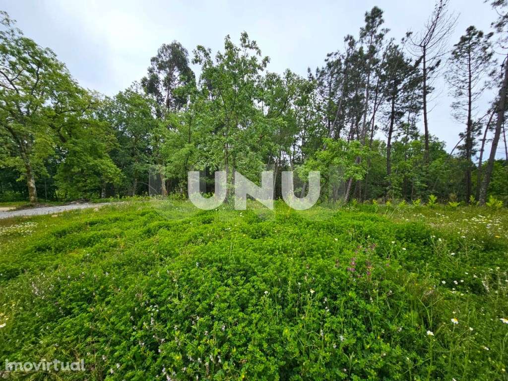 Terreno Rústico - Possibilidade de Construção - Grande imagem: 5/11