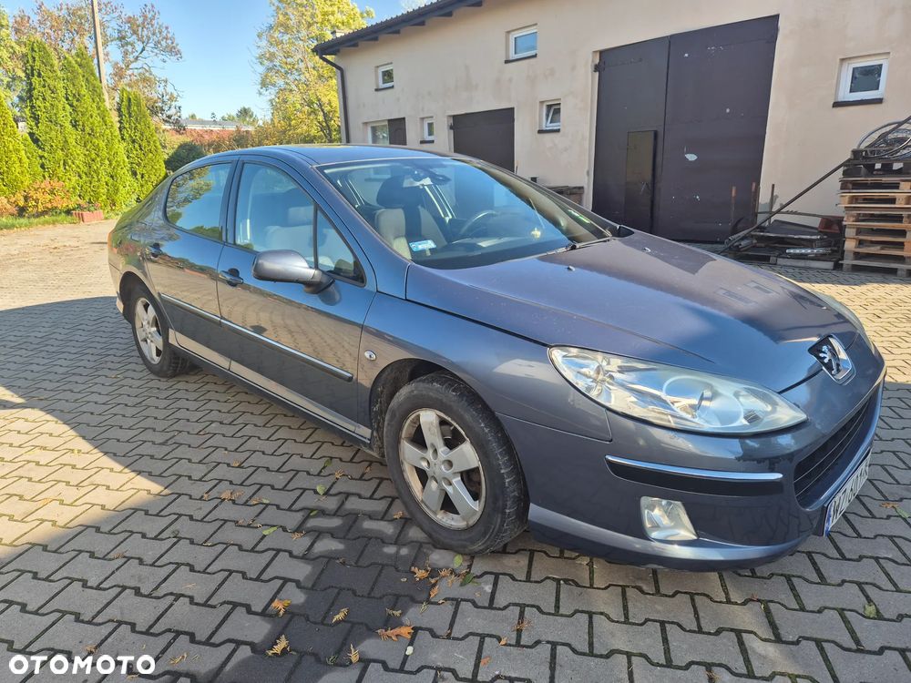 Peugeot 407 - 3