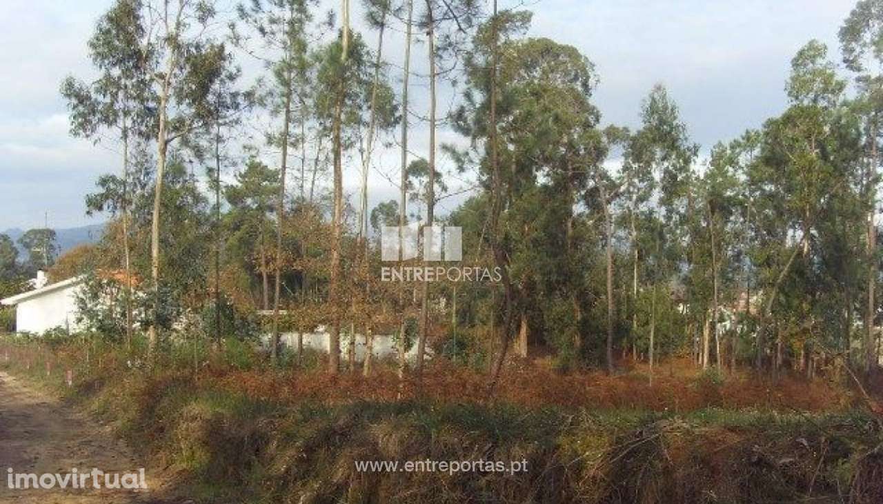 Terreno Agrícola - Vila Franca - Grande imagem: 3/30