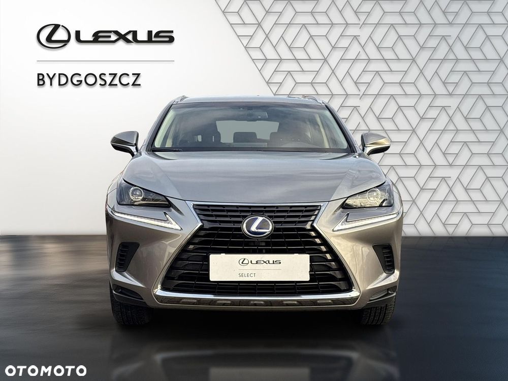 Lexus NX 300h Elegance AWD - 7